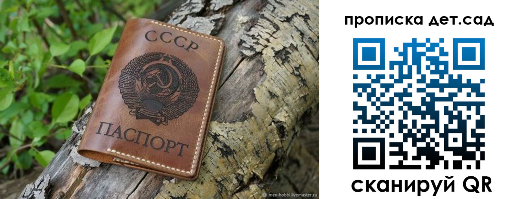 прописка иностранных граждан в Балтийске